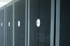 websites from womweb